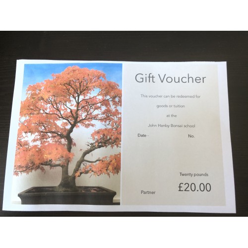 Gift voucher Thirty pounds